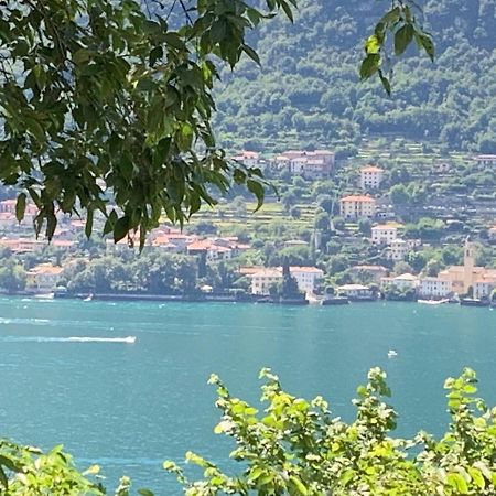 Apartment Casa Dono Il Lago Pognana Lario Eksteriør bilde