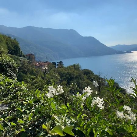 Apartment Casa Dono Il Lago Pognana Lario Eksteriør bilde