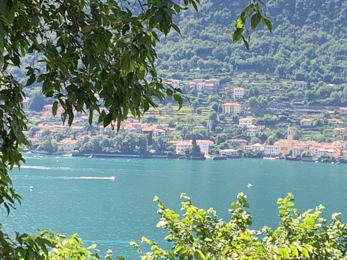 Apartment Casa Dono Il Lago Pognana Lario Eksteriør bilde