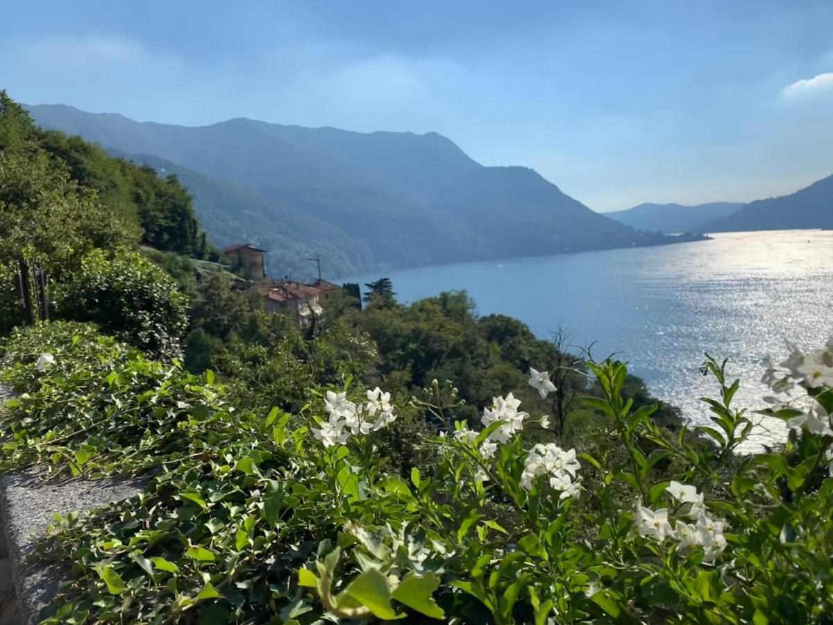 Apartment Casa Dono Il Lago Pognana Lario Eksteriør bilde