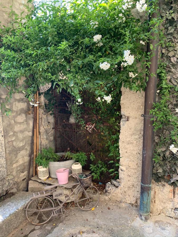 Apartment Casa Dono Il Lago Pognana Lario Eksteriør bilde